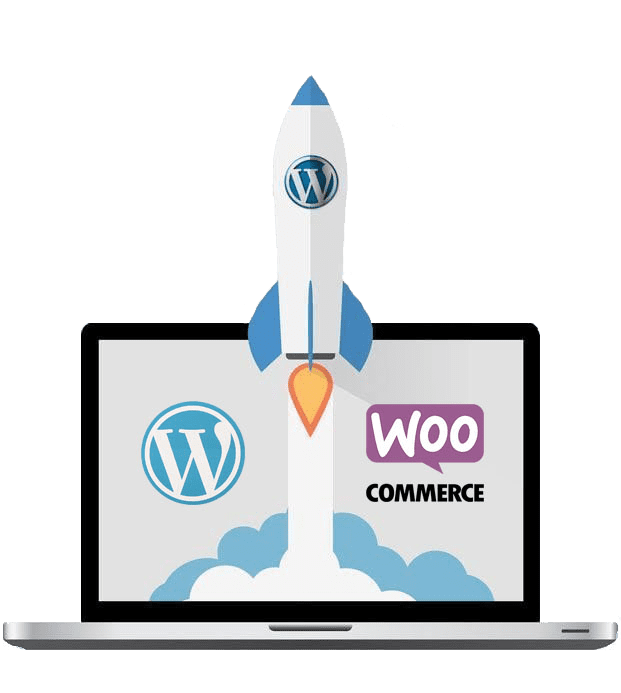 Optimiser la vitesse de son site WordPress 1